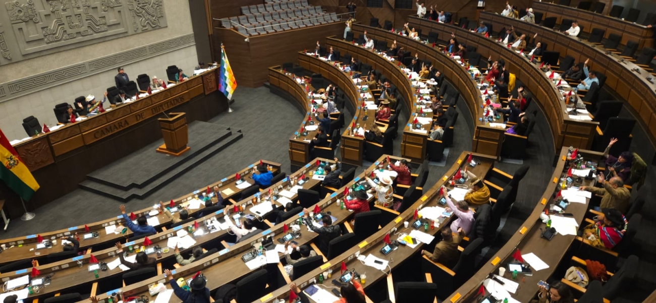Pleno de la Cámara de Diputados aprueba ley para las judiciales y la remite a la cámara de Senadores