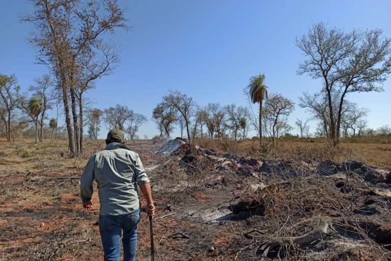 Deforestación principal causa para el cambio climático en el Chaco boliviano comunarios de Palmar Grande denuncian como un problema las licencias irregulares que otorga la ABT